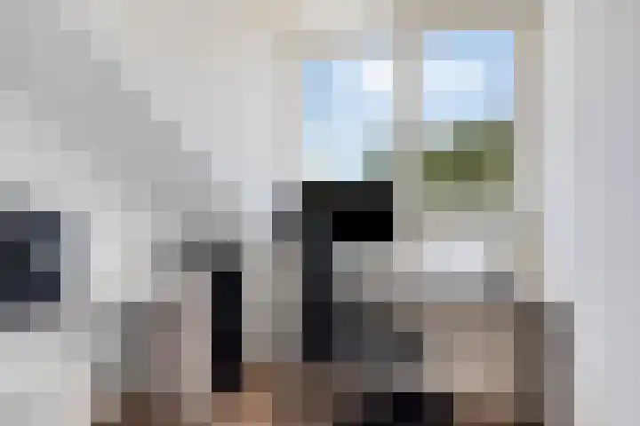 Sterndonk 47 Veghel thumbnail 24