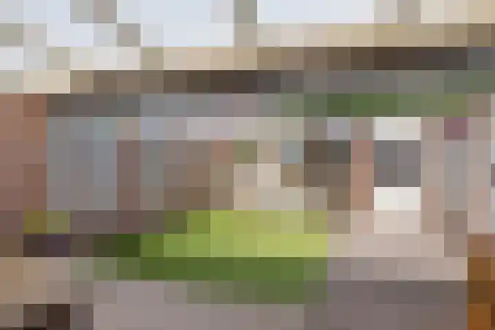 Sterndonk 47 Veghel thumbnail 25