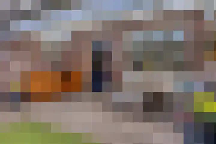 Sterndonk 47 Veghel thumbnail 27