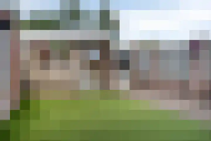Sterndonk 47 Veghel thumbnail 28