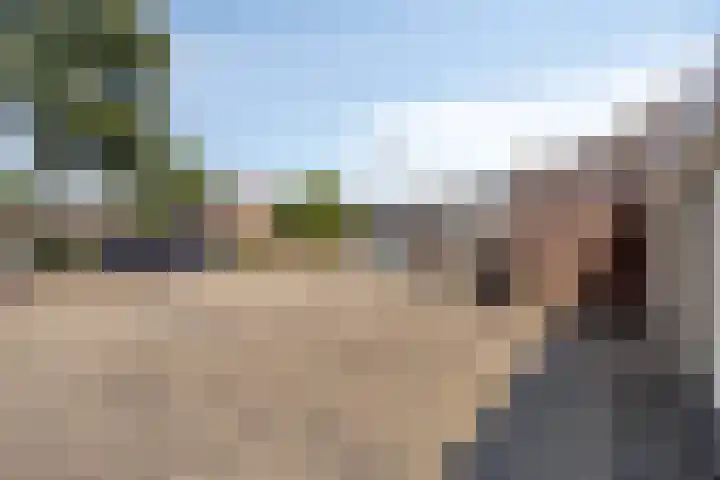 Sterndonk 47 Veghel thumbnail 30