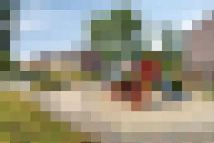 Sterndonk 47 Veghel thumbnail 32