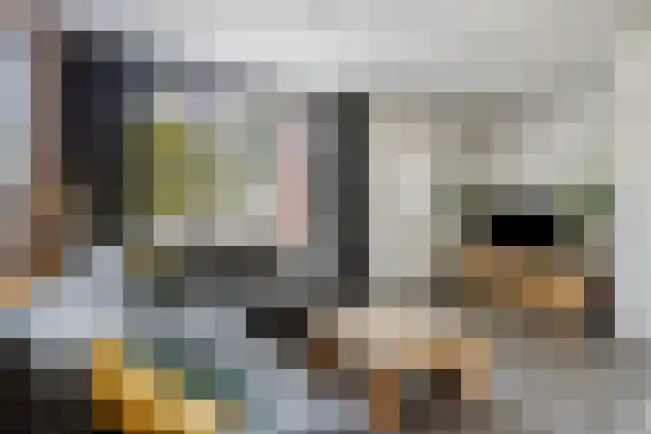 Sterndonk 47 Veghel thumbnail 6