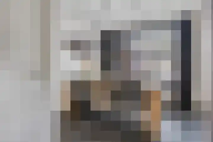 Sterndonk 47 Veghel thumbnail 7