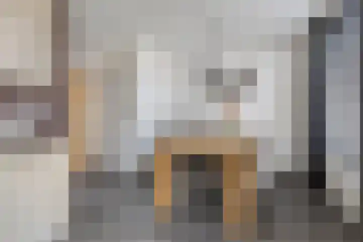 Sterndonk 47 Veghel thumbnail 8