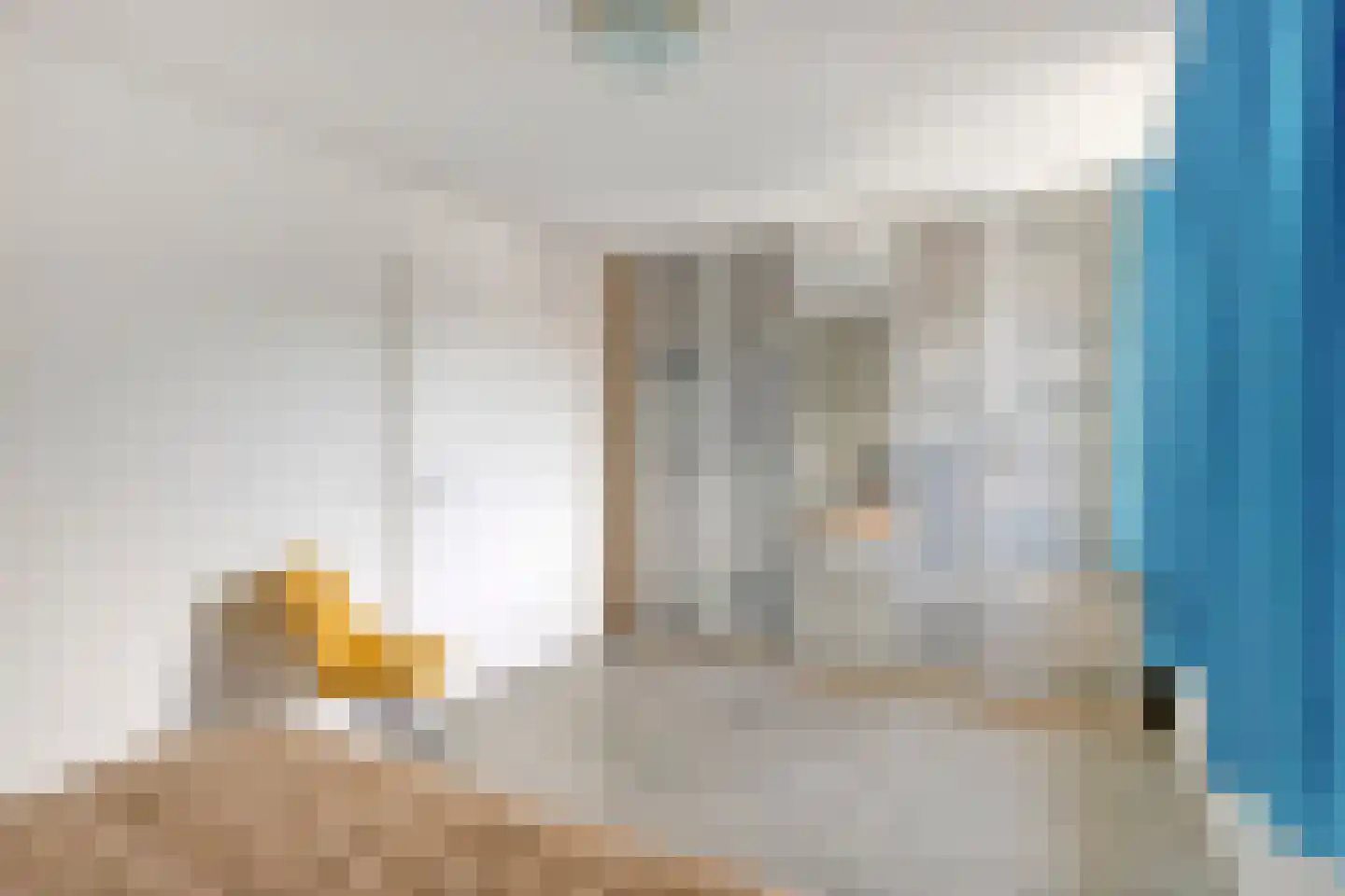 Sterndonk 9 Veghel thumbnail 16