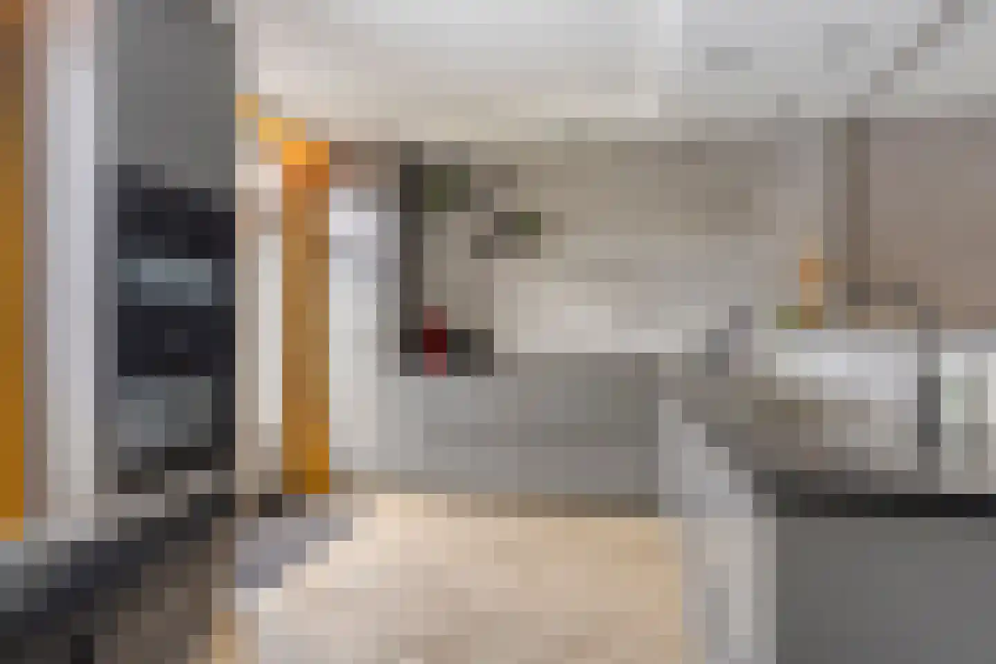 Sterndonk 9 Veghel thumbnail 8