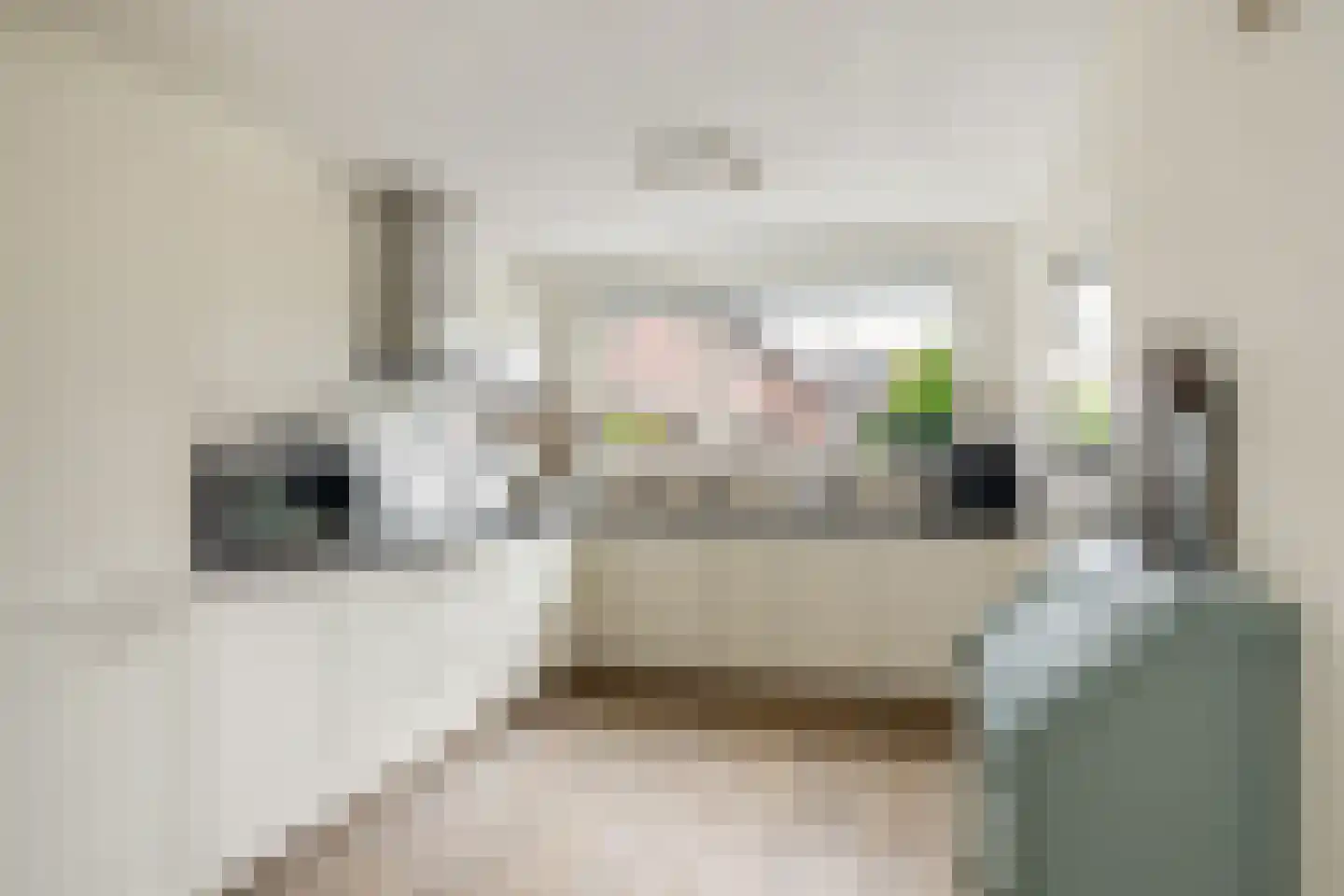 Sternendaal 15 Nieuwerkerk aan den IJssel thumbnail 12