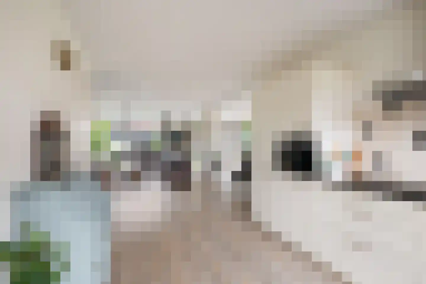 Sternendaal 15 Nieuwerkerk aan den IJssel thumbnail 14
