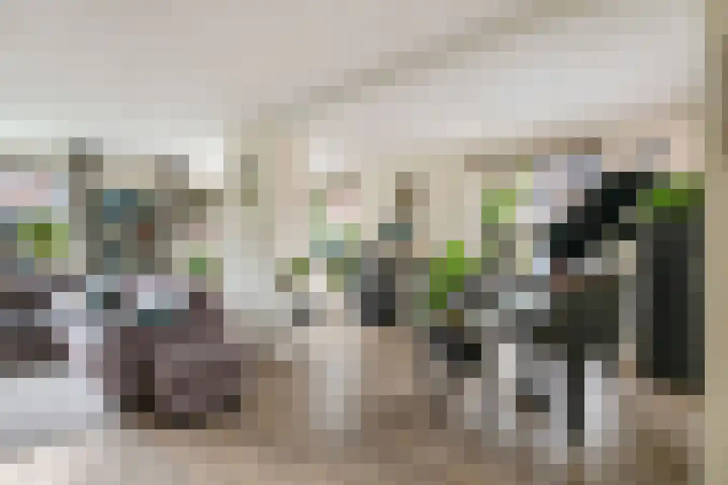 Sternendaal 15 Nieuwerkerk aan den IJssel thumbnail 7