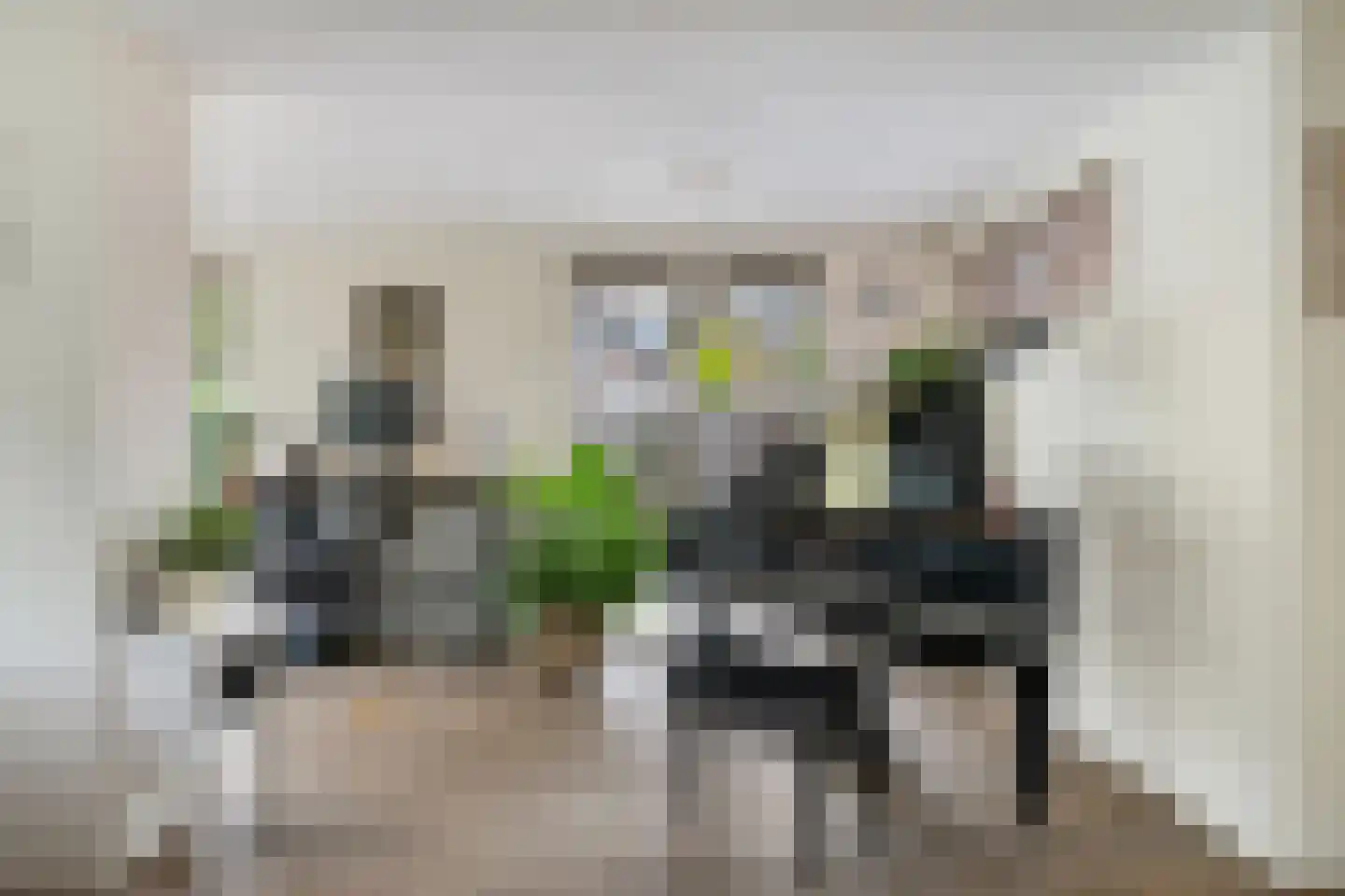 Sternendaal 15 Nieuwerkerk aan den IJssel thumbnail 8