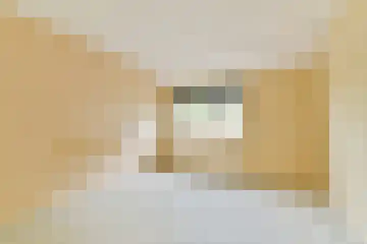 Sternhoek 7 Spijkenisse thumbnail 15