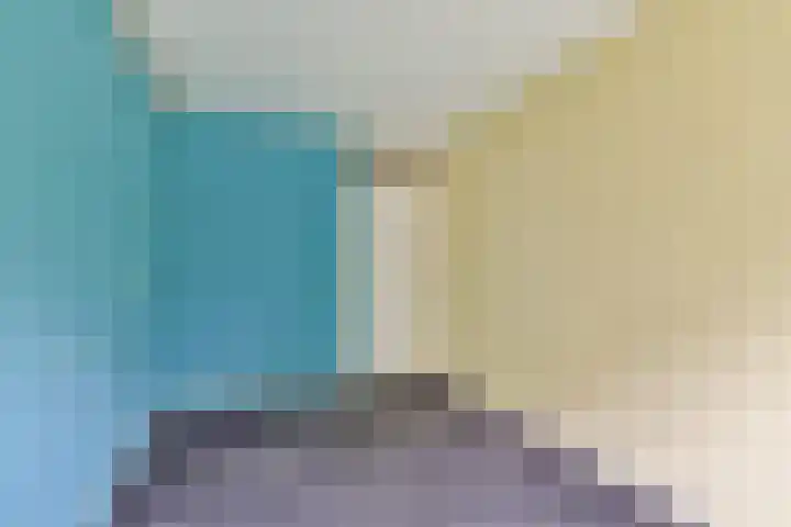 Sternhoek 7 Spijkenisse thumbnail 22