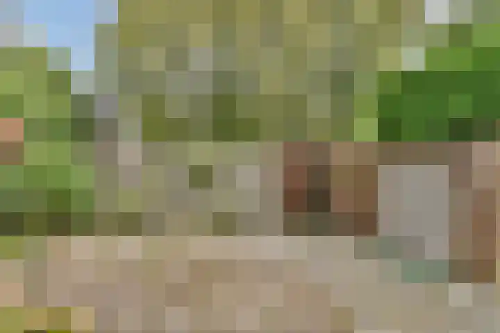 Sternhoek 7 Spijkenisse thumbnail 23