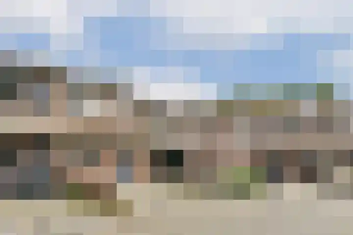 Sternhoek 7 Spijkenisse thumbnail 27