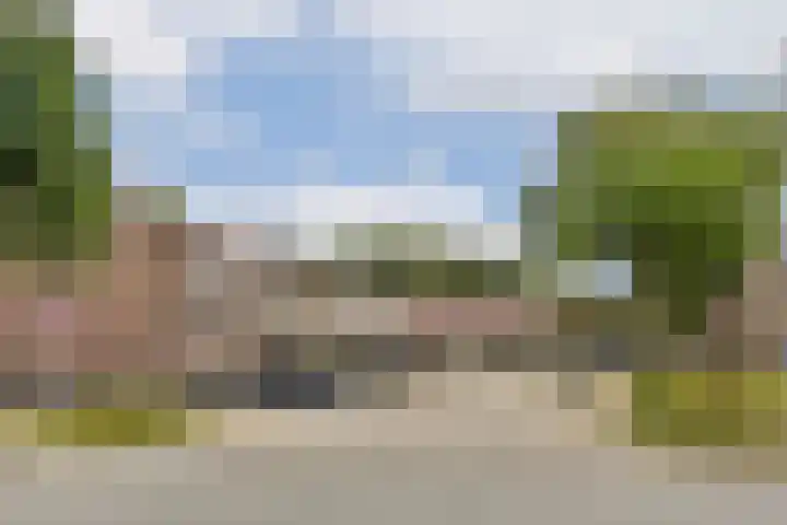 Sternhoek 7 Spijkenisse thumbnail 28
