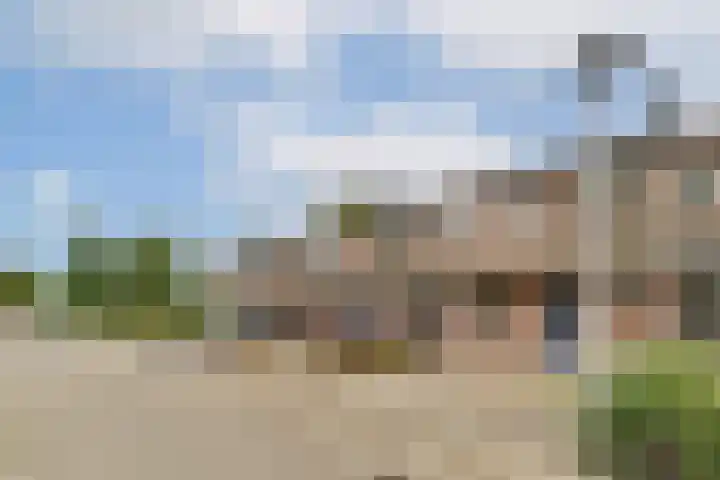 Sternhoek 7 Spijkenisse thumbnail 29