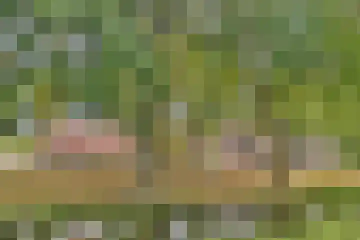 Sternhoek 7 Spijkenisse thumbnail 30
