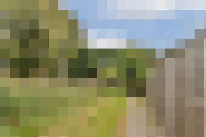 Sternhoek 7 Spijkenisse thumbnail 31
