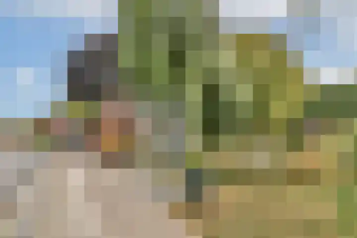 Sternhoek 7 Spijkenisse thumbnail 32