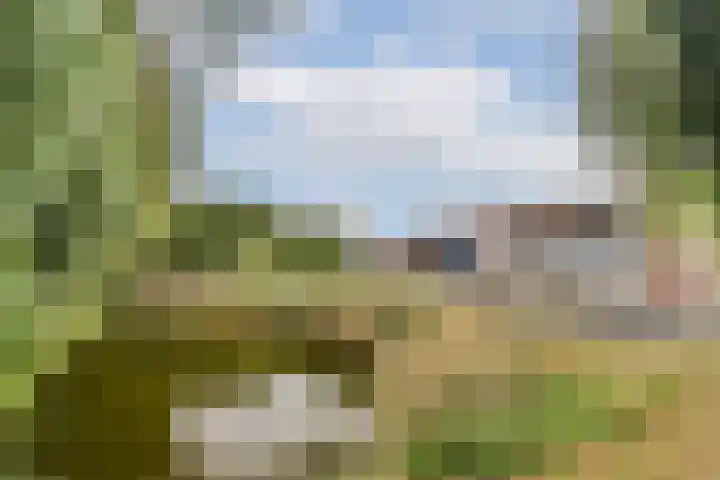 Sternhoek 7 Spijkenisse thumbnail 33