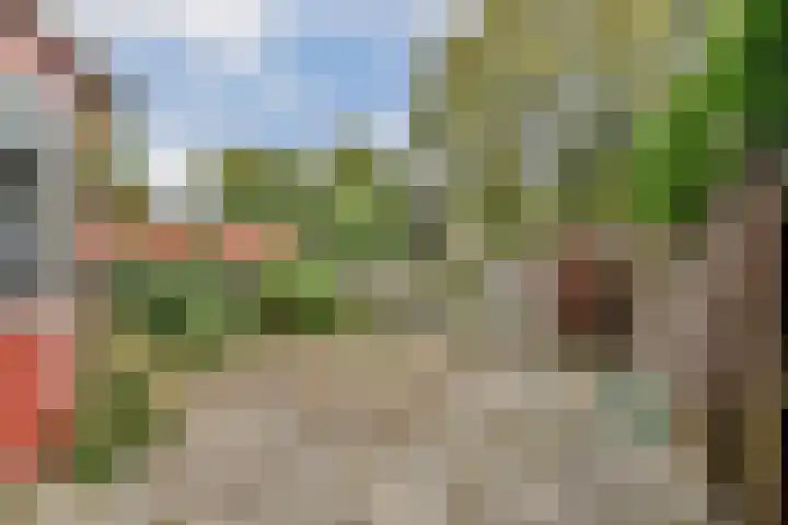Sternhoek 7 Spijkenisse thumbnail 5