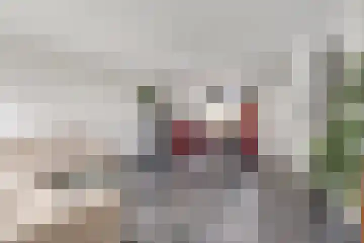Sternhof 6 Lisse thumbnail 13
