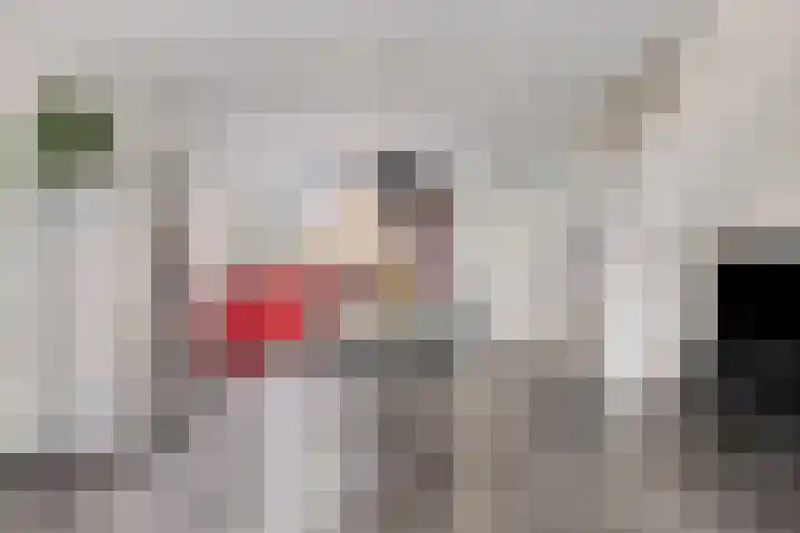 Sternhof 6 Lisse thumbnail 16
