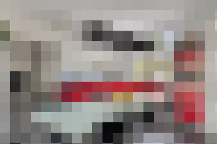 Sternhof 6 Lisse thumbnail 17