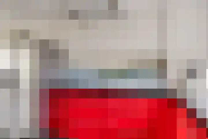 Sternhof 6 Lisse thumbnail 18
