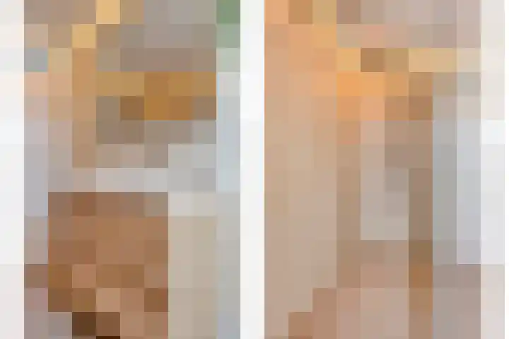 Sternhof 6 Lisse thumbnail 24