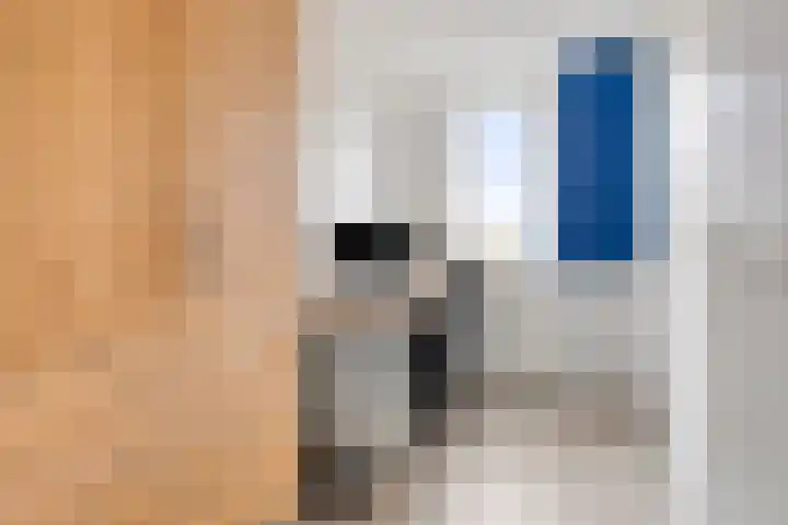 Sternhof 6 Lisse thumbnail 27