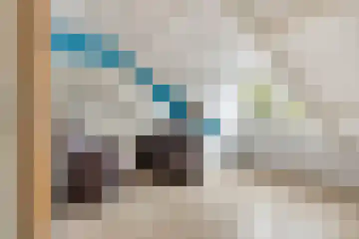 Sternhof 6 Lisse thumbnail 28
