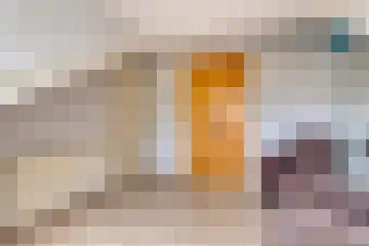 Sternhof 6 Lisse thumbnail 29