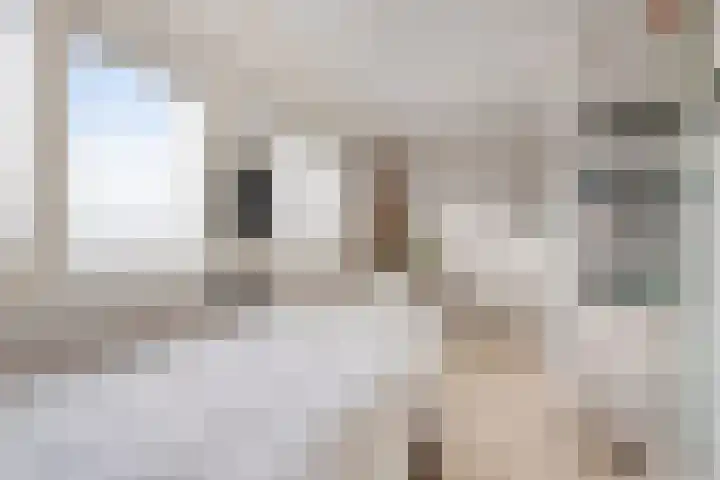 Sternhof 6 Lisse thumbnail 30