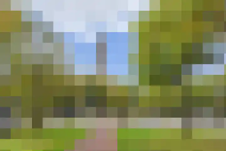 Sternhof 6 Lisse thumbnail 31