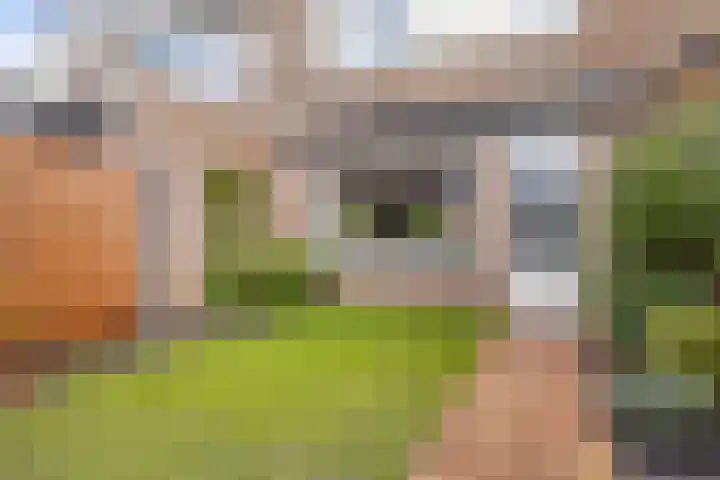 Sternhof 6 Lisse thumbnail 34