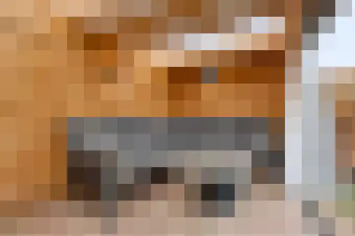 Sternhof 6 Lisse thumbnail 35