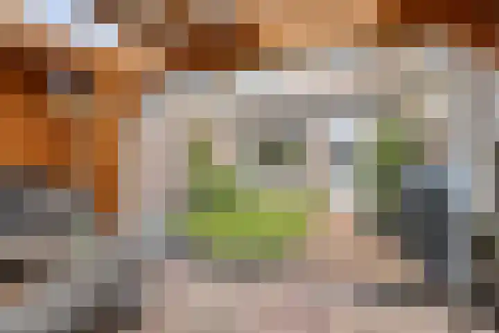 Sternhof 6 Lisse thumbnail 37