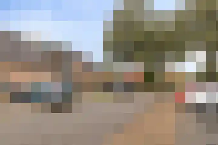 Sternhof 6 Lisse thumbnail 8