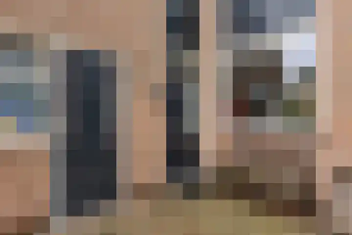 Sternhof 6 Lisse thumbnail 9