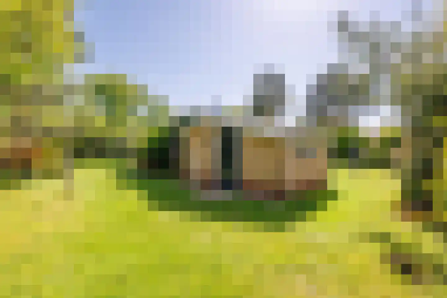 Sternhorst 103 Ballum thumbnail 15