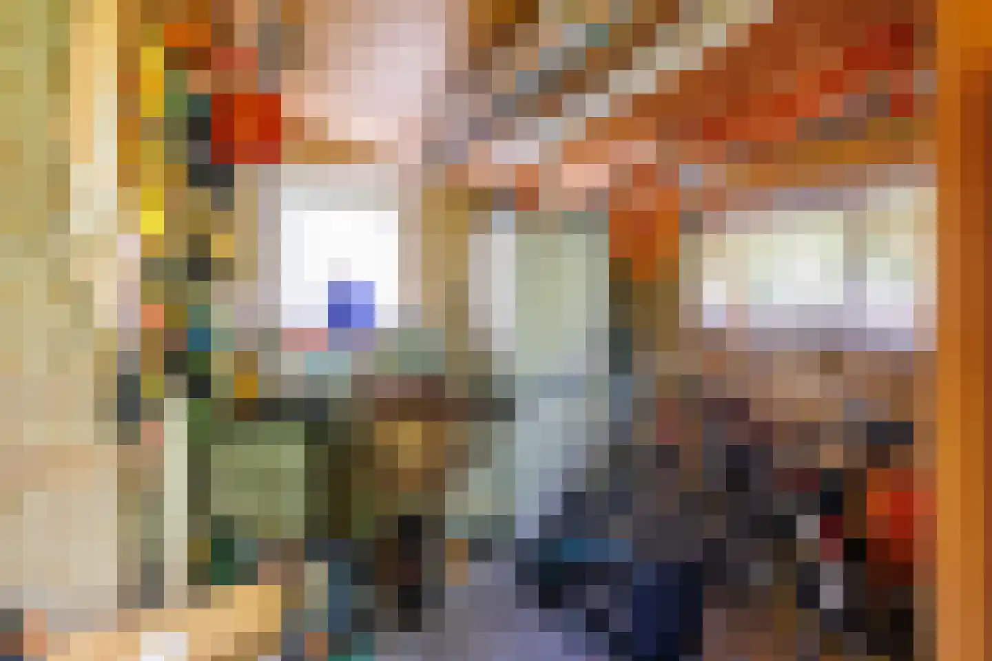 Sternhorst 103 Ballum thumbnail 16