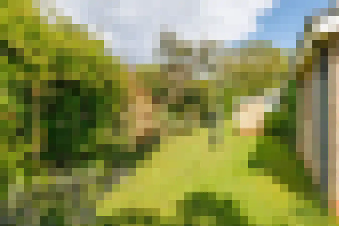 Sternhorst 103 Ballum thumbnail 21