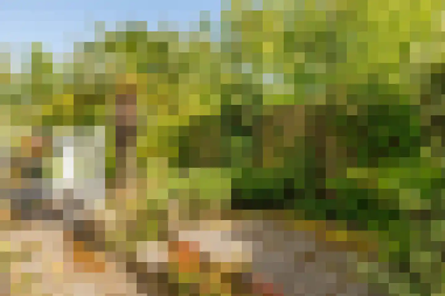 Sternhorst 103 Ballum thumbnail 25