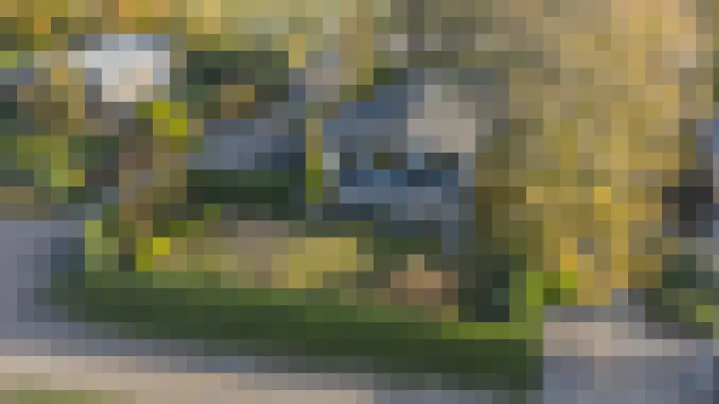 Sternlaan 34 Kamperland thumbnail 31