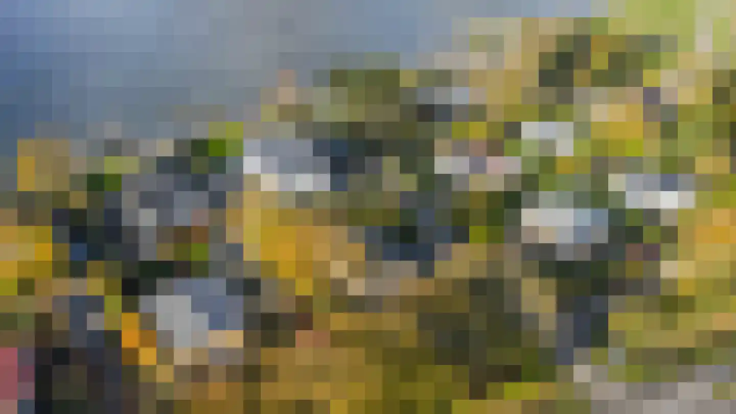 Sternlaan 34 Kamperland thumbnail 4