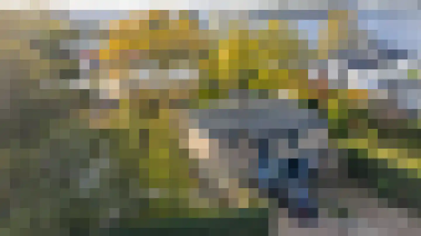 Sternlaan 34 Kamperland thumbnail 40