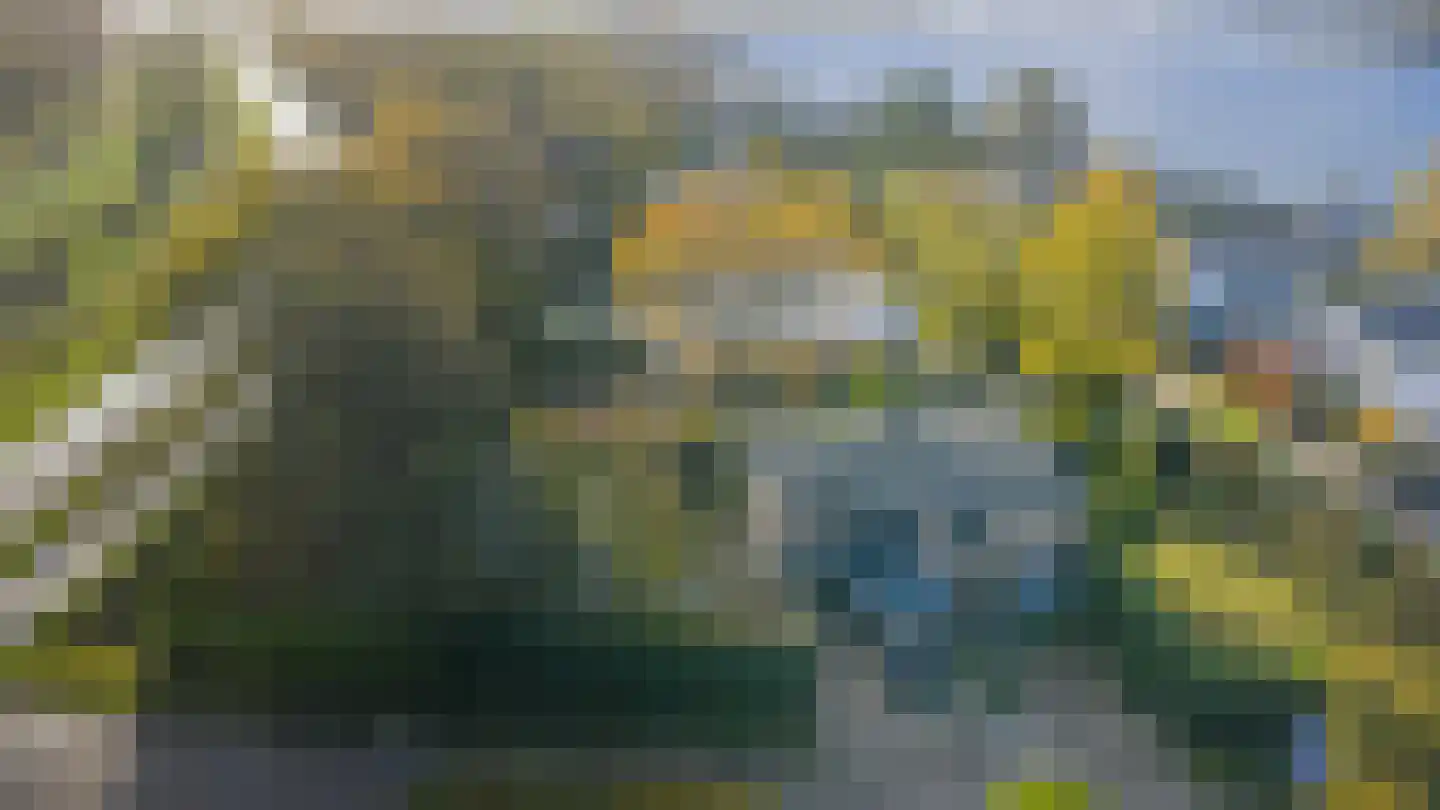 Sternlaan 34 Kamperland thumbnail 41