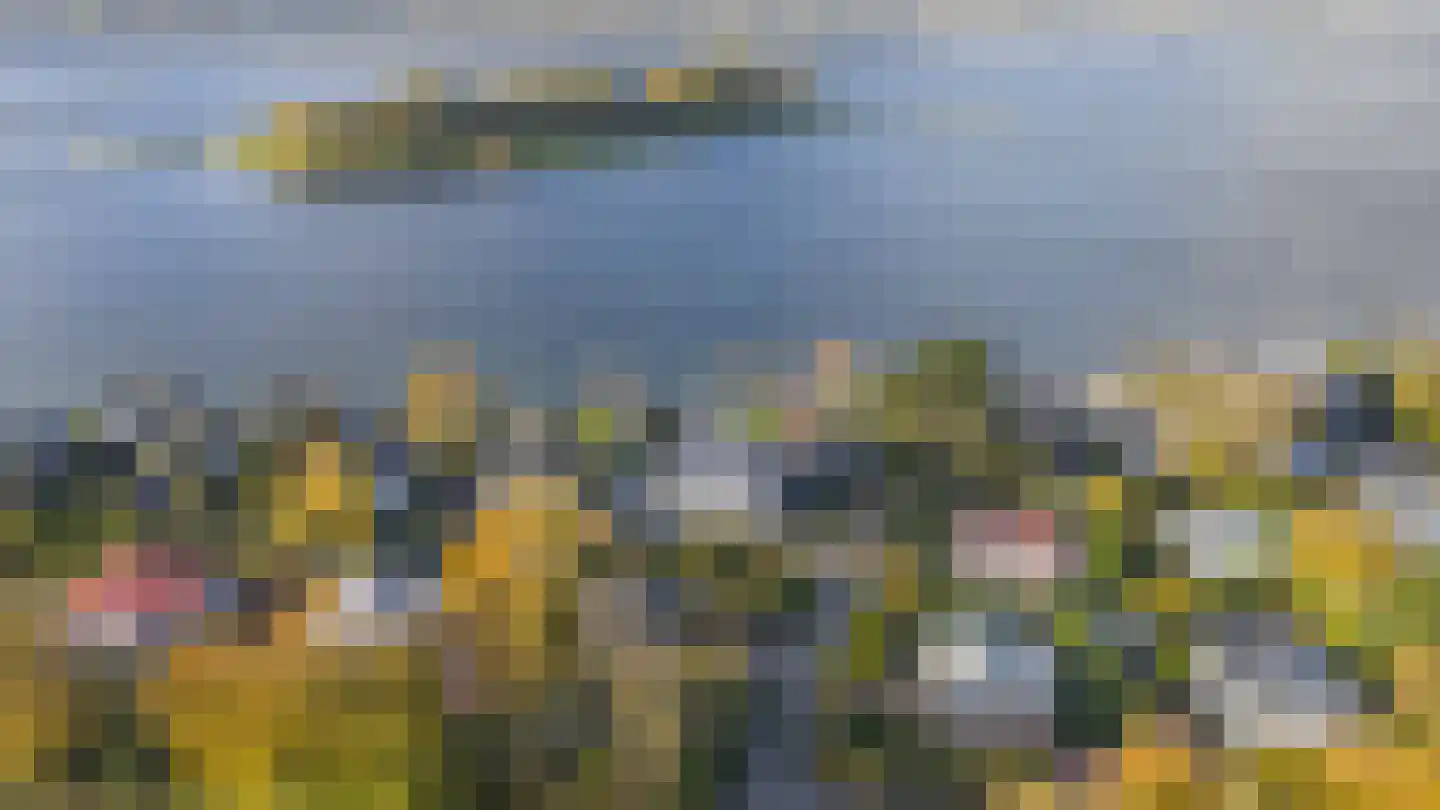 Sternlaan 34 Kamperland thumbnail 43